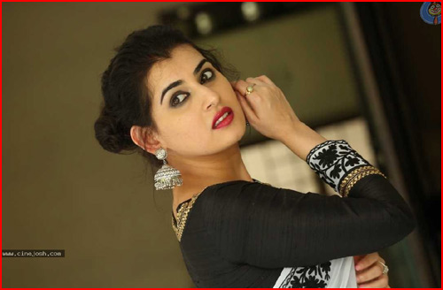 heroine archana,panchami movie,sujatha bouriya,  ‘పంచమి’ సక్సెస్‌మీట్‌